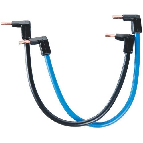 sac de 2 Cordons de repiquage pour bornes à vis 10mm² 270mm Legrand 404903
